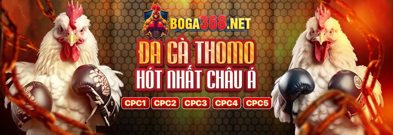 Giao diện trang chủ chính thức LT88 2026 với các tính năng cá cược trực tuyến